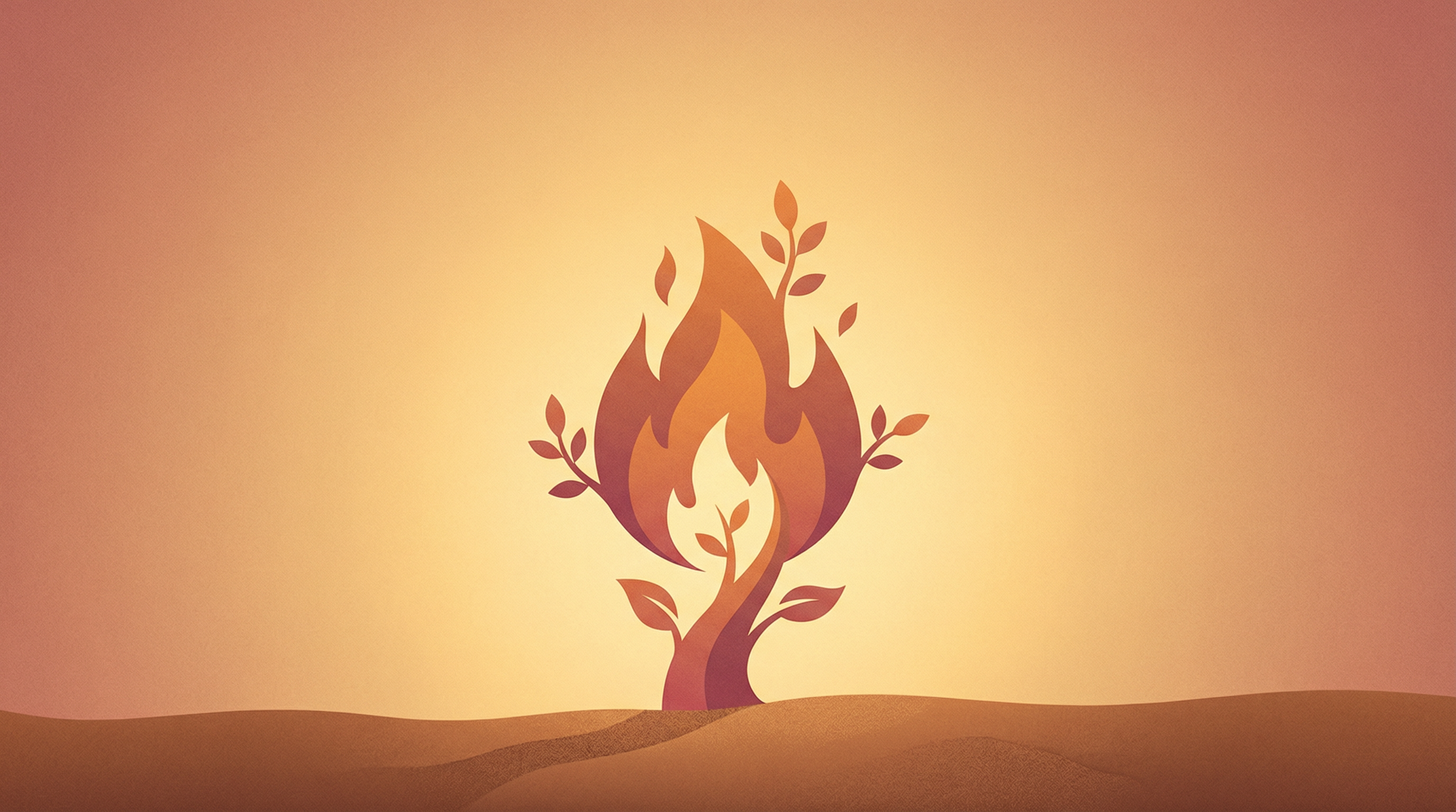 2024 회고 cover image